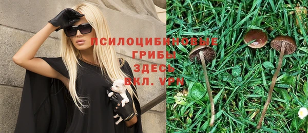 МДПВ Абаза