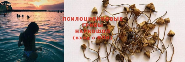 МДПВ Абаза