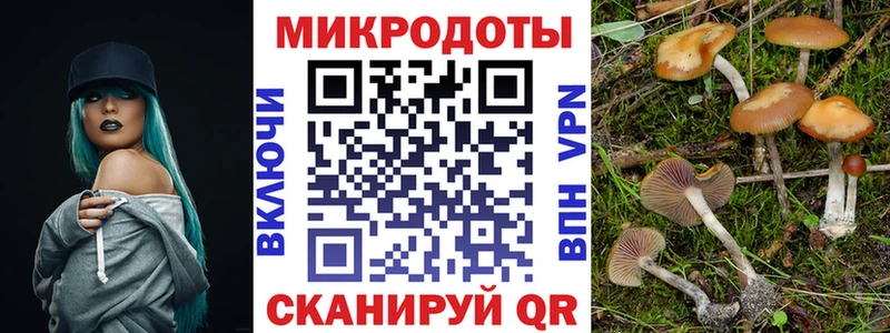 Псилоцибиновые грибы ЛСД Сольцы