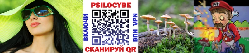 Галлюциногенные грибы прущие грибы  Сольцы 